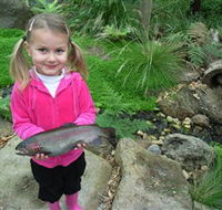Wild Food Farm  Cafe - Attractions