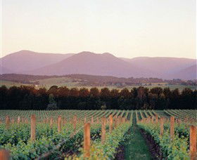 Coldstream VIC Attractions