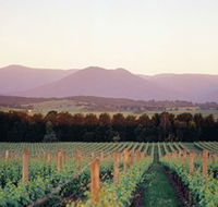 Domaine Chandon - Attractions