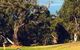 Lorne Country Club - thumb 0