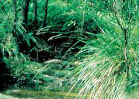 Trentham East VIC Attractions
