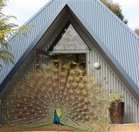 Halls Gap Zoo - Attractions
