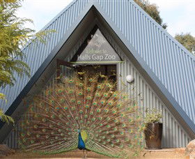 Halls Gap Zoo - Attractions 0