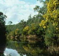 Warrandyte State Park - Attractions