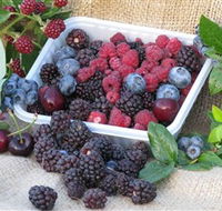 Bright Berry Farms - Attractions