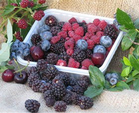 Bright Berry Farms - Attractions 0