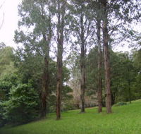 Mount Dandenong Arboretum - Attractions