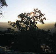 Yarra Flats - Attractions