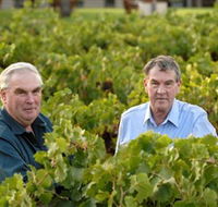 Campbells Wines - Attractions