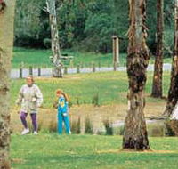 Westerfolds Park - Attractions
