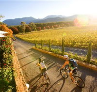 Boyntons Feathertop Winery - Attractions
