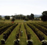 Rochford Wines - Attractions