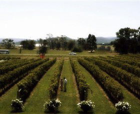 Rochford Wines - Attractions 0