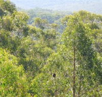 Bunyip State Park - Attractions