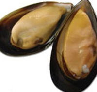 Sea Bounty - Attractions