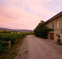 Yarra Yering - Attractions