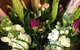 Alpine Blooms Florist Mansfield - thumb 0