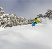 Mt Buller and Mt Stirling Alpine Resort - Attractions