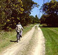 Koomba Park - Attractions