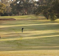 Cohuna Golf Club - Attractions