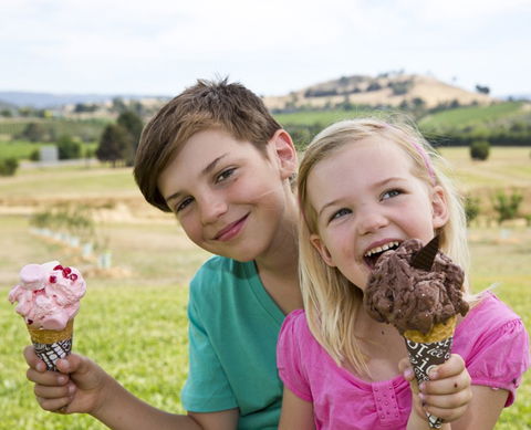 Yarra Valley Chocolaterie & Ice Creamery - Attractions 6