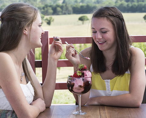Yarra Valley Chocolaterie & Ice Creamery - Attractions 8