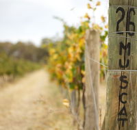 Stanton and Killeen Wines - Attractions