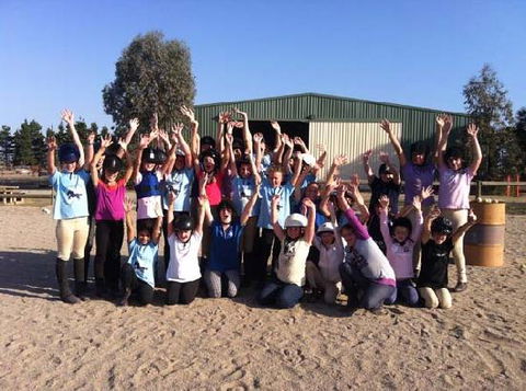 Saddle On Riding School - Attractions 2