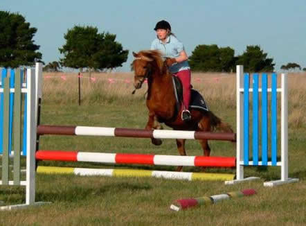 Saddle On Riding School - Attractions 5