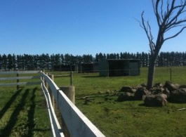 Saddle On Riding School - Attractions 6