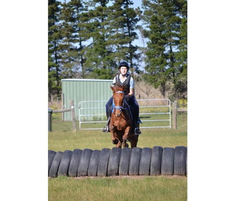 Saddle On Riding School - Attractions 9