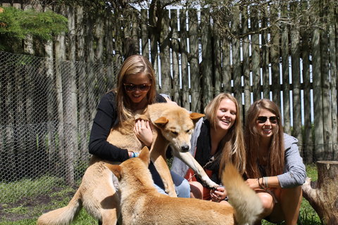 Great Ocean Road Wildlife Park - Attractions 3