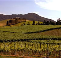 Soumah of Yarra Valley - Attractions