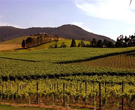 Soumah Of Yarra Valley - Attractions 0