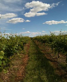 Chambers Rosewood Winery - Attractions 0