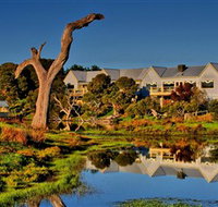 The Minya Vineyard  Winery - Attractions