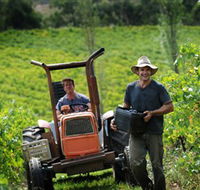 Kellybrook Winery  Kelly Brothers Cider - Attractions