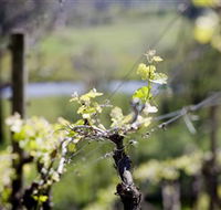 Coldstream Hills - Attractions