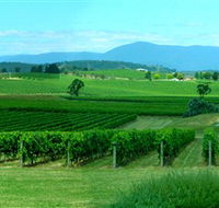 Acacia Ridge Vineyard - Attractions