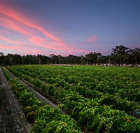 Amherst Winery - Attractions