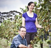 Anderson Winery - Attractions