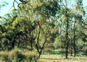 Appin South VIC Attractions