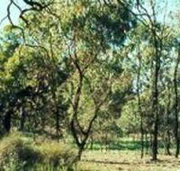 Leaghur State Park - Attractions