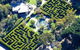 Ashcombe Maze & Lavender Gardens - thumb 0