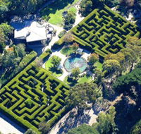 Ashcombe Maze  Lavender Gardens - Attractions