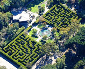 Ashcombe Maze & Lavender Gardens - Attractions 0