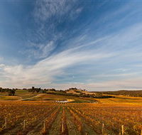 Sanguine Estate - Attractions