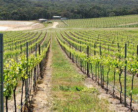 M Chapoutier Australia - Attractions 0