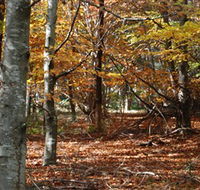 RJ Hamer Arboretum - Attractions