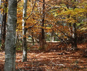 RJ Hamer Arboretum - Attractions 0